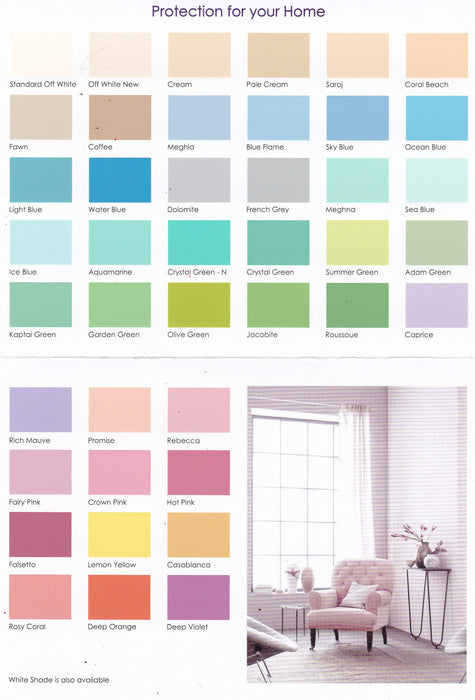 Distemper paint off white Clearance