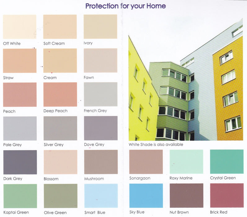 Wall Care (Cement Coating) — Roxypaints Limited